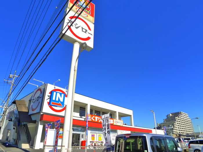 その他　ダイソー（その他）まで100m