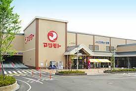 スーパー　スーパーマツモト 洛南店（スーパー）まで867m