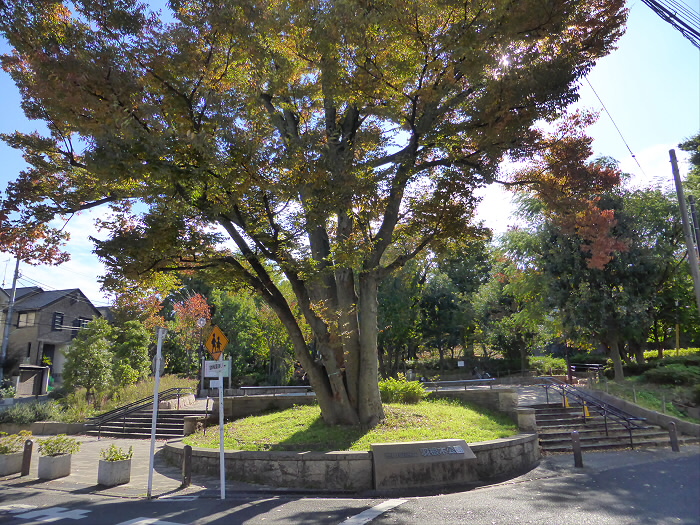 公園　羽根木公園（公園）まで629m