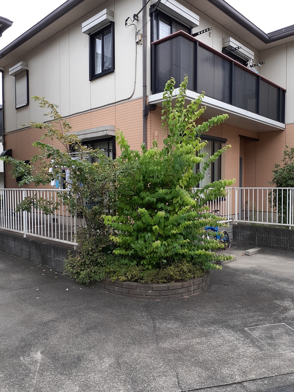 建物外観　★お問い合わせは044-299-8985★