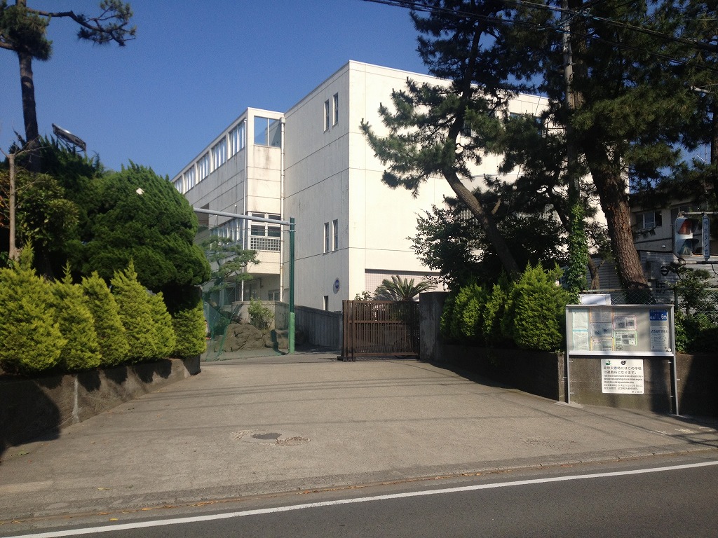 小学校　茅ヶ崎市立松浪小学校（小学校）まで228m