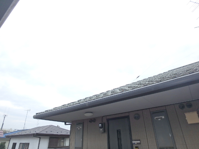 Vecinos Bのその他写真