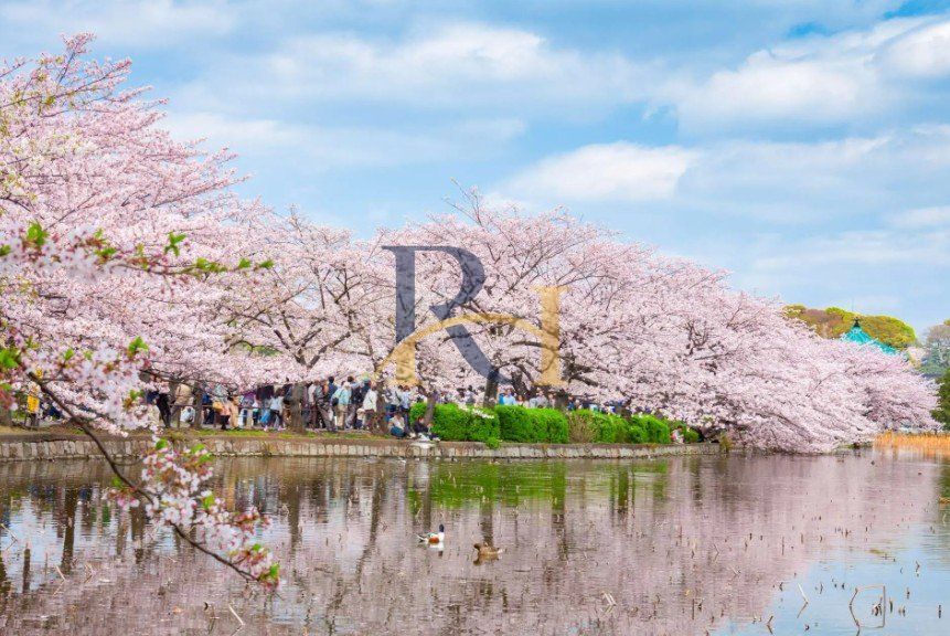 公園　東京都上野恩賜公園（公園）まで1260m