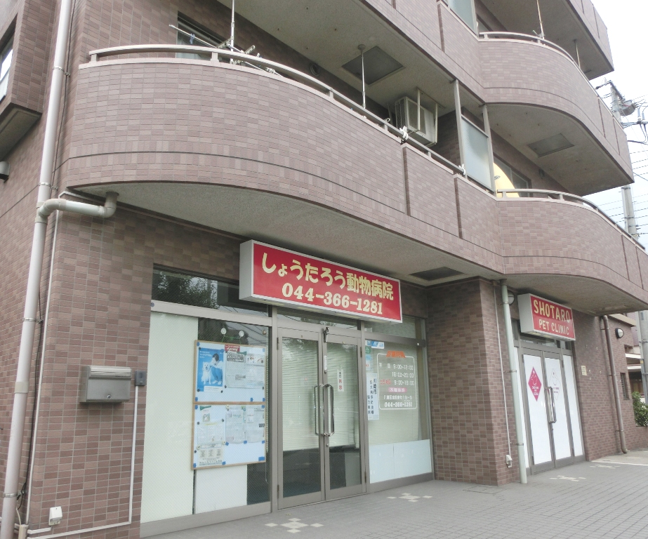 その他　しょうたろう動物病院（その他）まで750m