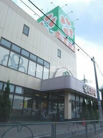 スーパー　ライフ 土支田店（スーパー）まで313m