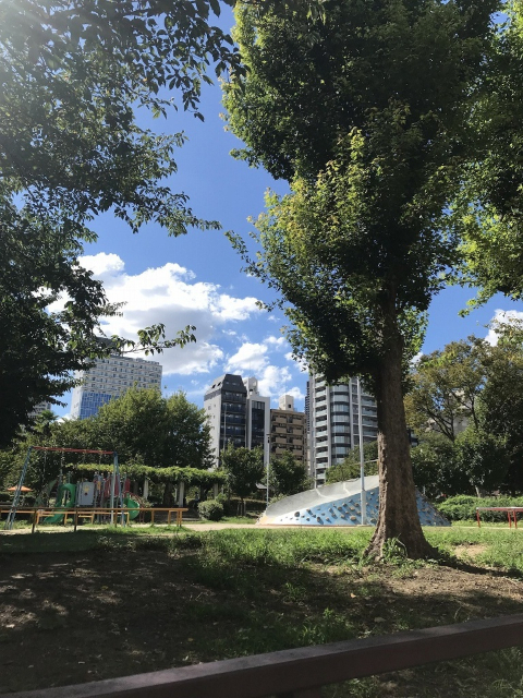 公園　中大江公園（公園）まで445m