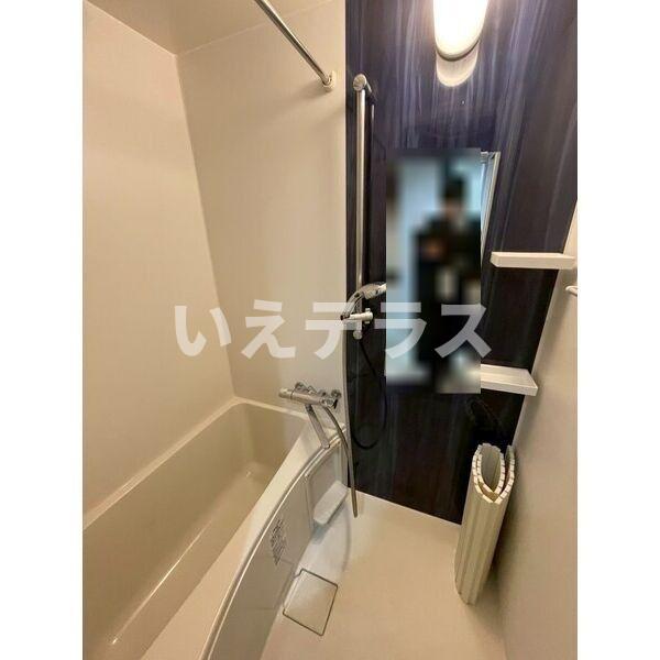 エヌエムスワサントシスの風呂写真