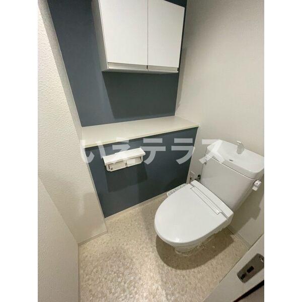 エヌエムスワサントシスのトイレ写真