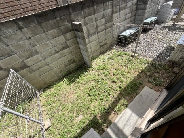 庭