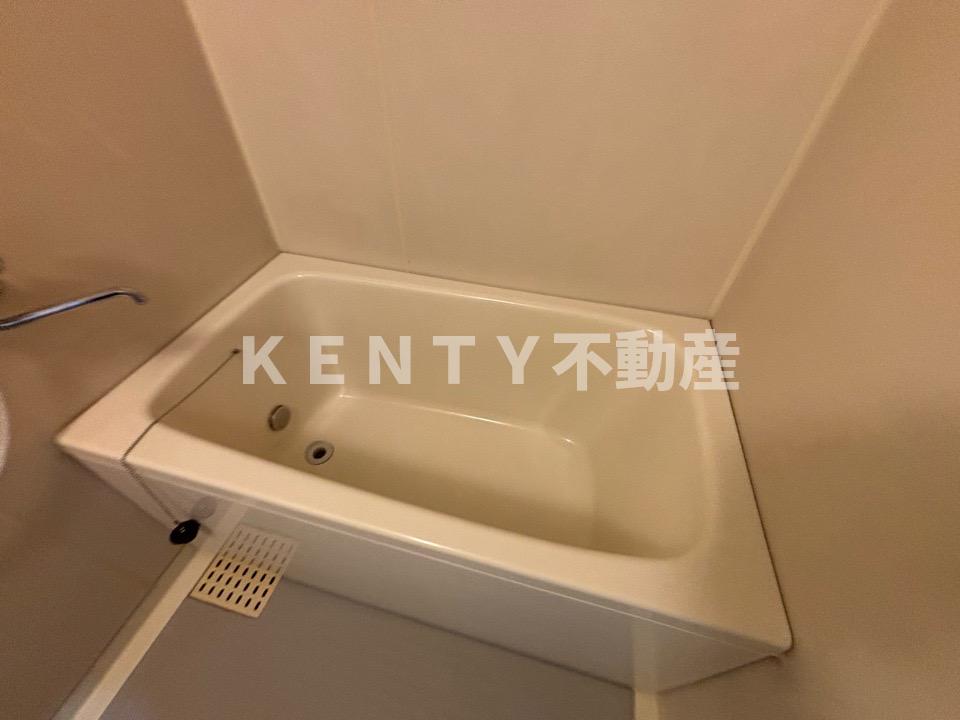バス・シャワールーム　落ち着いた空間のお風呂です