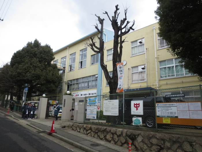中学校　上野中学校（中学校）まで791m