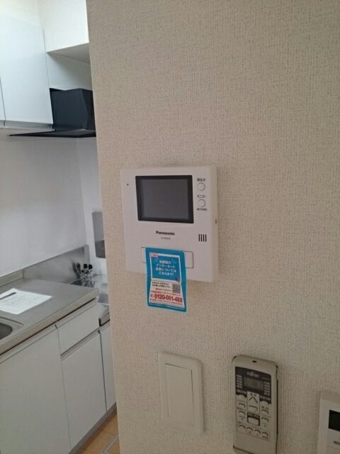 アエキタスのその他写真