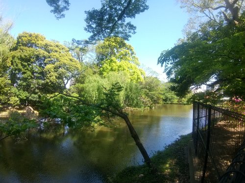 公園　菊田水鳥公園（公園）まで576m