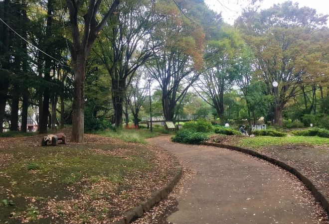 公園　都立戸山公園（公園）まで556m