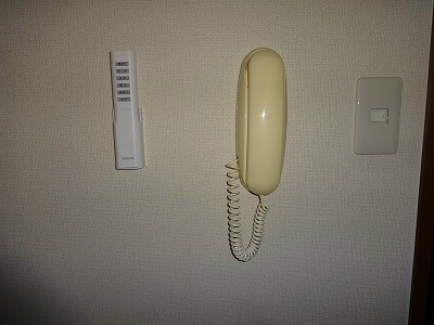 ディアス竹渕のその他写真