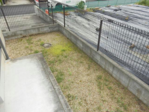 PRIM ROSEのその他写真
