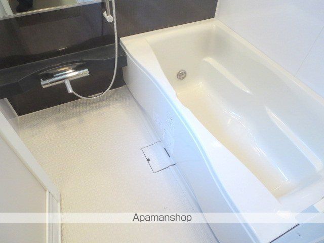 Brillia ist 北沢の風呂写真
