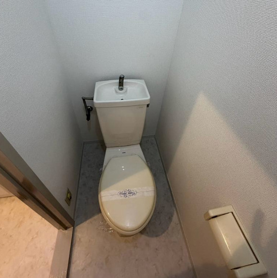 シャトー田中のトイレ写真