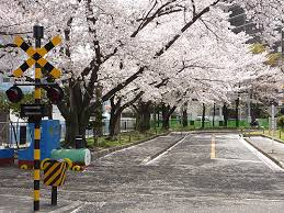 公園　根岸交通公園（公園）まで454m