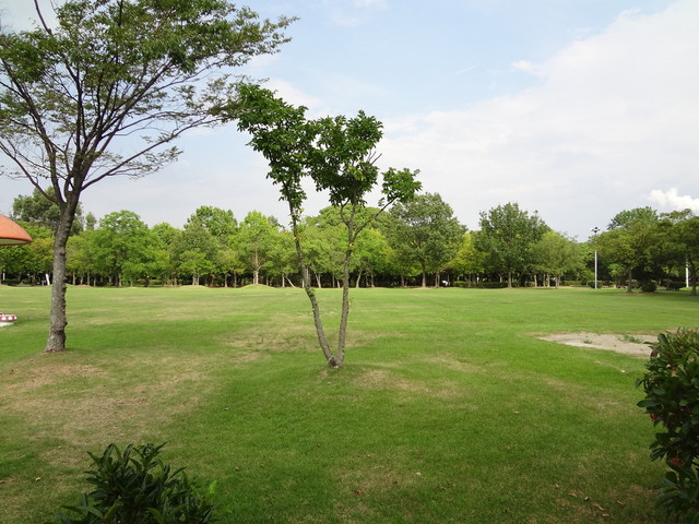 公園　中央緑地公園（公園）まで453m