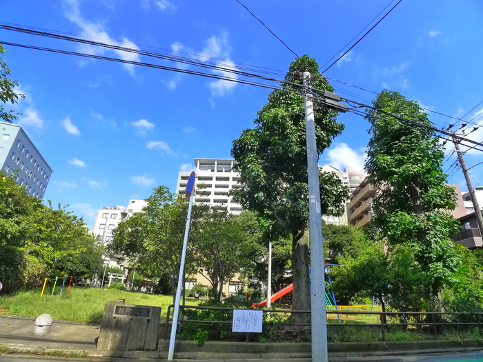 公園　新町公園（公園）まで10m