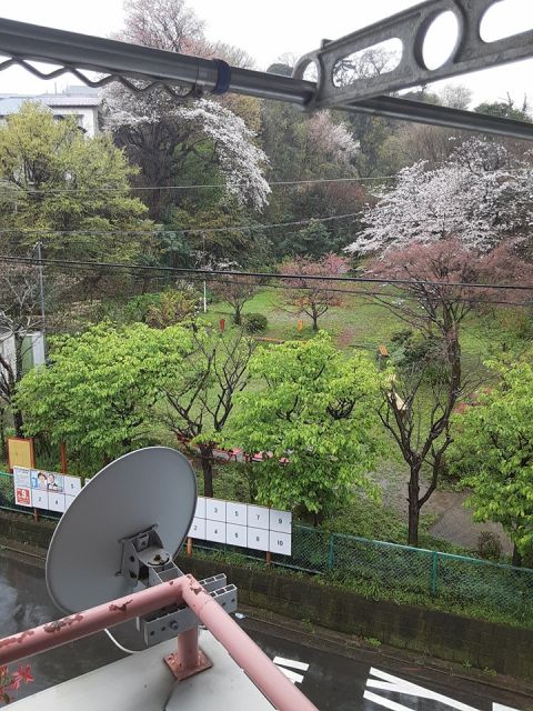 眺望