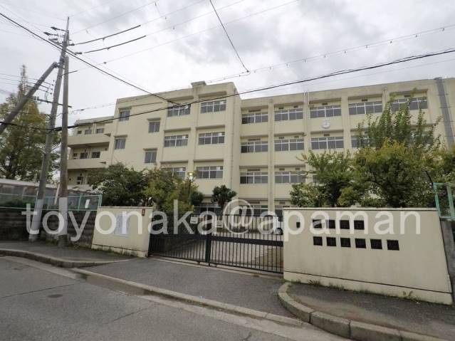 中学校　第十五中学校（中学校）まで331m