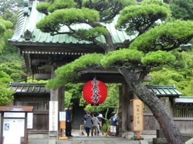 その他　長谷寺（その他）まで399m
