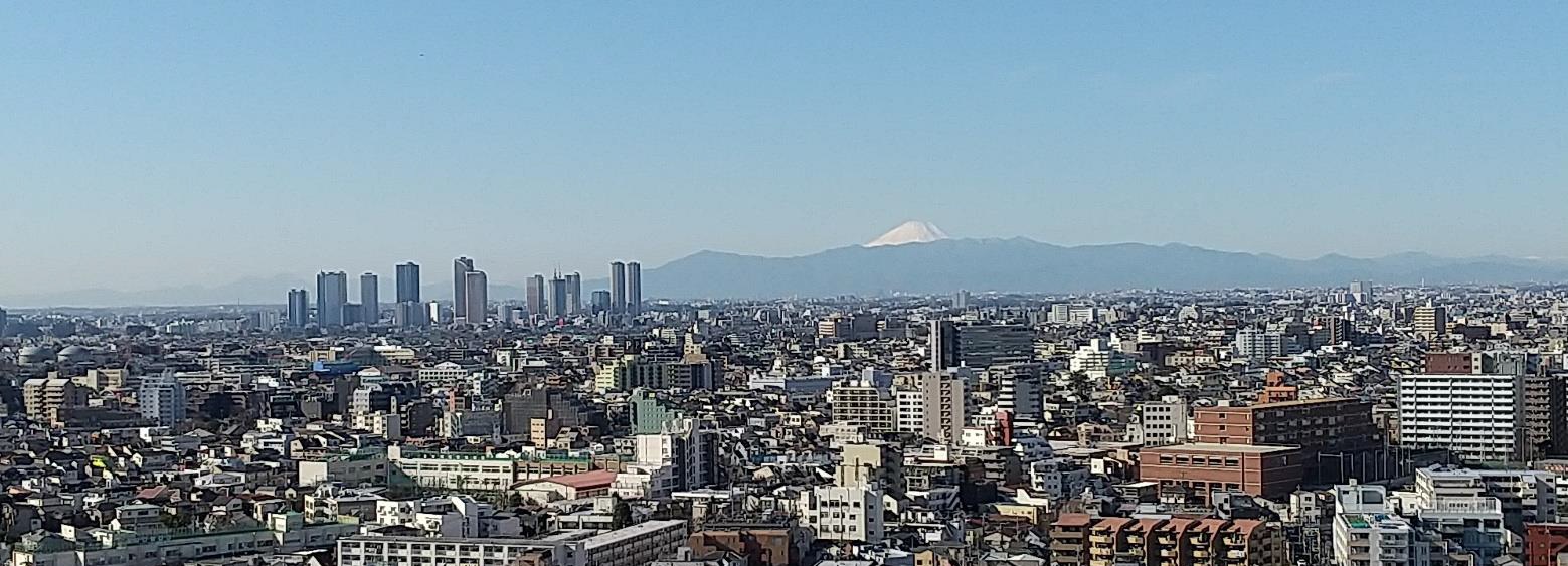 眺望