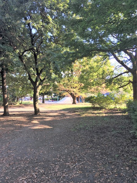 公園　稲田公園（公園）まで552m