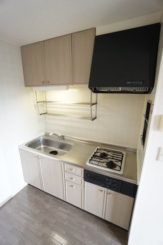 キッチン　※同物件・反転タイプの写真です