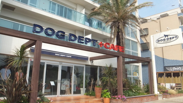 飲食店　ドッグデプト湘南江ノ島（飲食店）まで671m