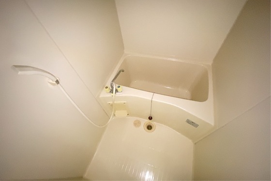 バス・シャワールーム　※別部屋の写真です