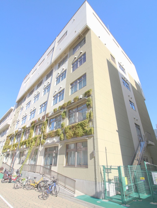 小学校　中央区立久松小学校（小学校）まで144m