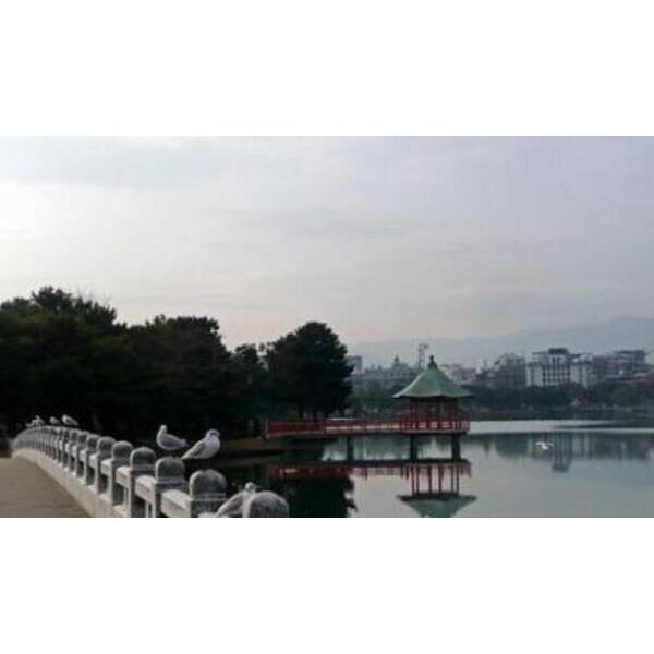 眺望　プレスタイル大濠公園