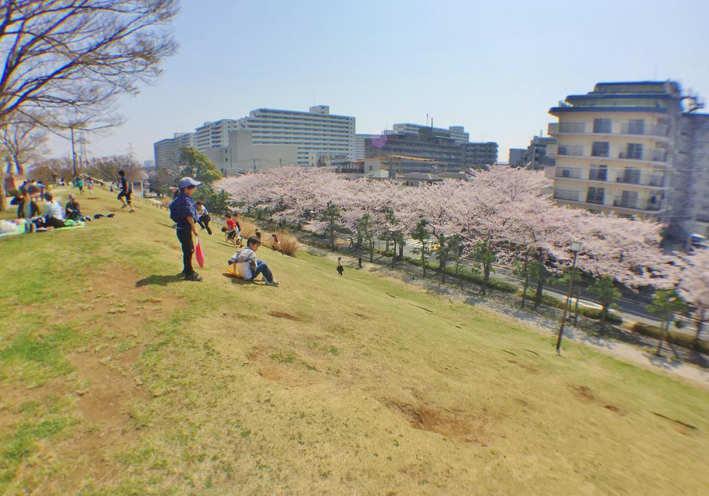 【カーサ デル ソルの公園】