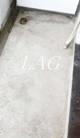 バルコニー　バルコニーです。