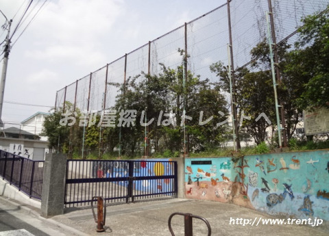 小学校　中野区立 桃園第二小学校（小学校）まで700m