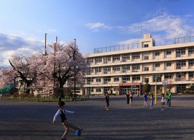 小学校　秦野市立南小学校（小学校）まで807m