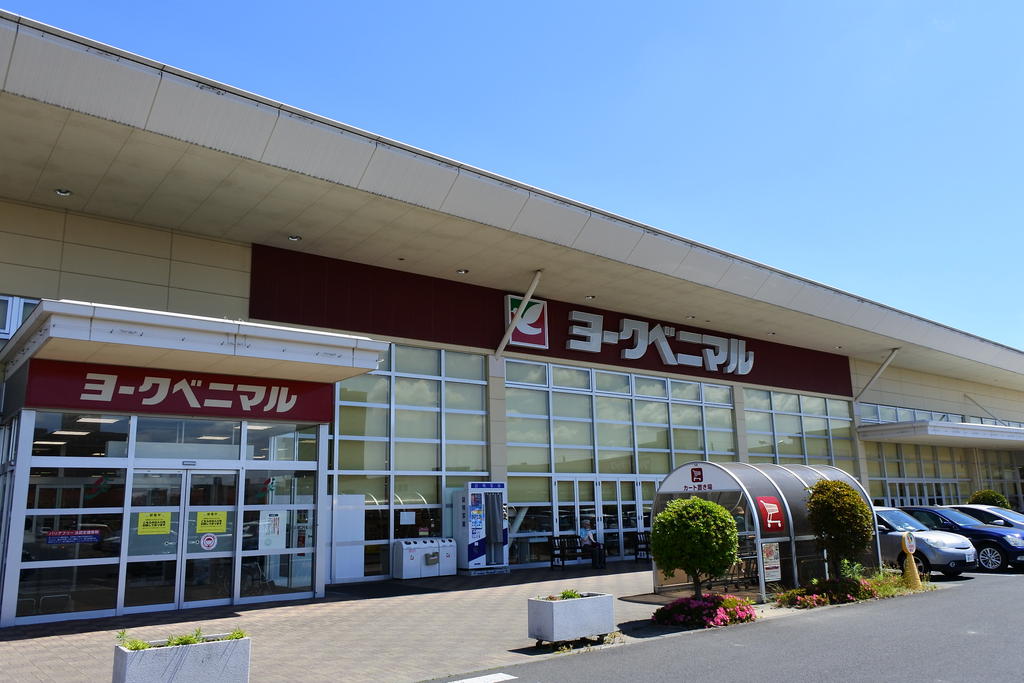 スーパー　ヨークベニマル野田店（スーパー）まで662m