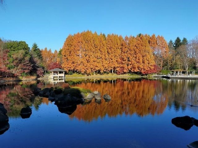 【アザレヤハイツＤの公園】