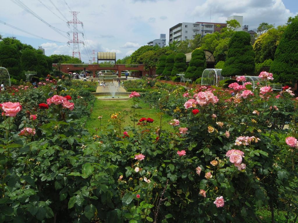 【カーサデルソルの公園】