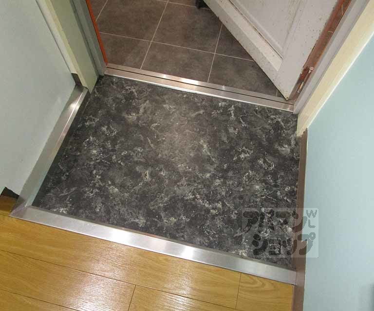 玄関　２０３号室の写真です。