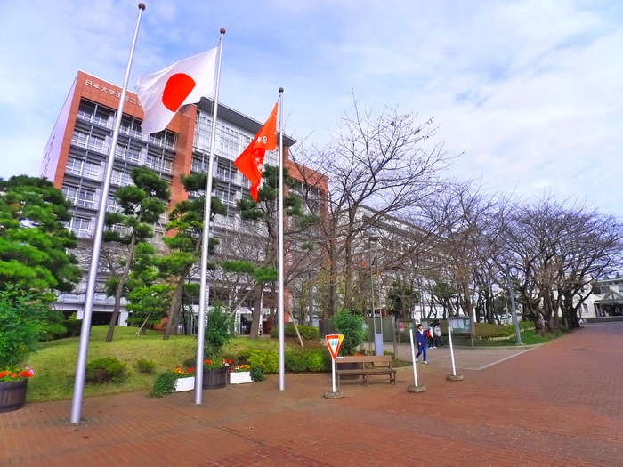 大学・短大　日大生産工学部（大学・短大）まで622m