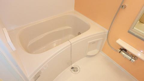 バス・シャワールーム　アクセントパネルがお洒落なお風呂♪（イメージ）