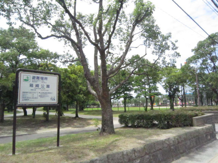 公園　箱崎公園（公園）まで233m
