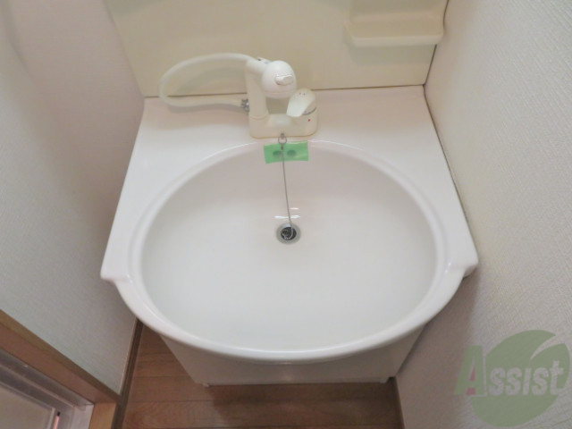 洗面設備　シャワー付きなので髪の毛のセットここで出来ます。