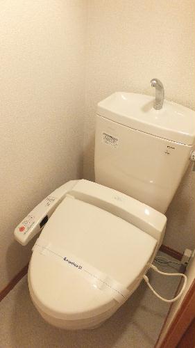 トイレ　温水洗浄便座設置