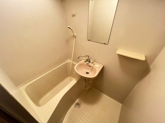 バス・シャワールーム　※別部屋の写真です