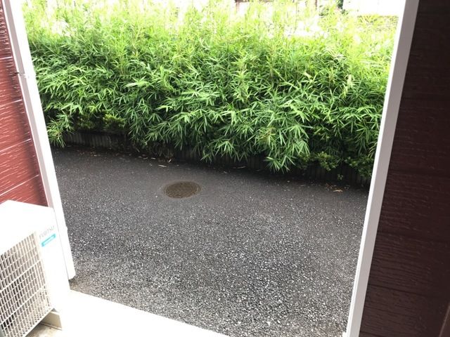 庭